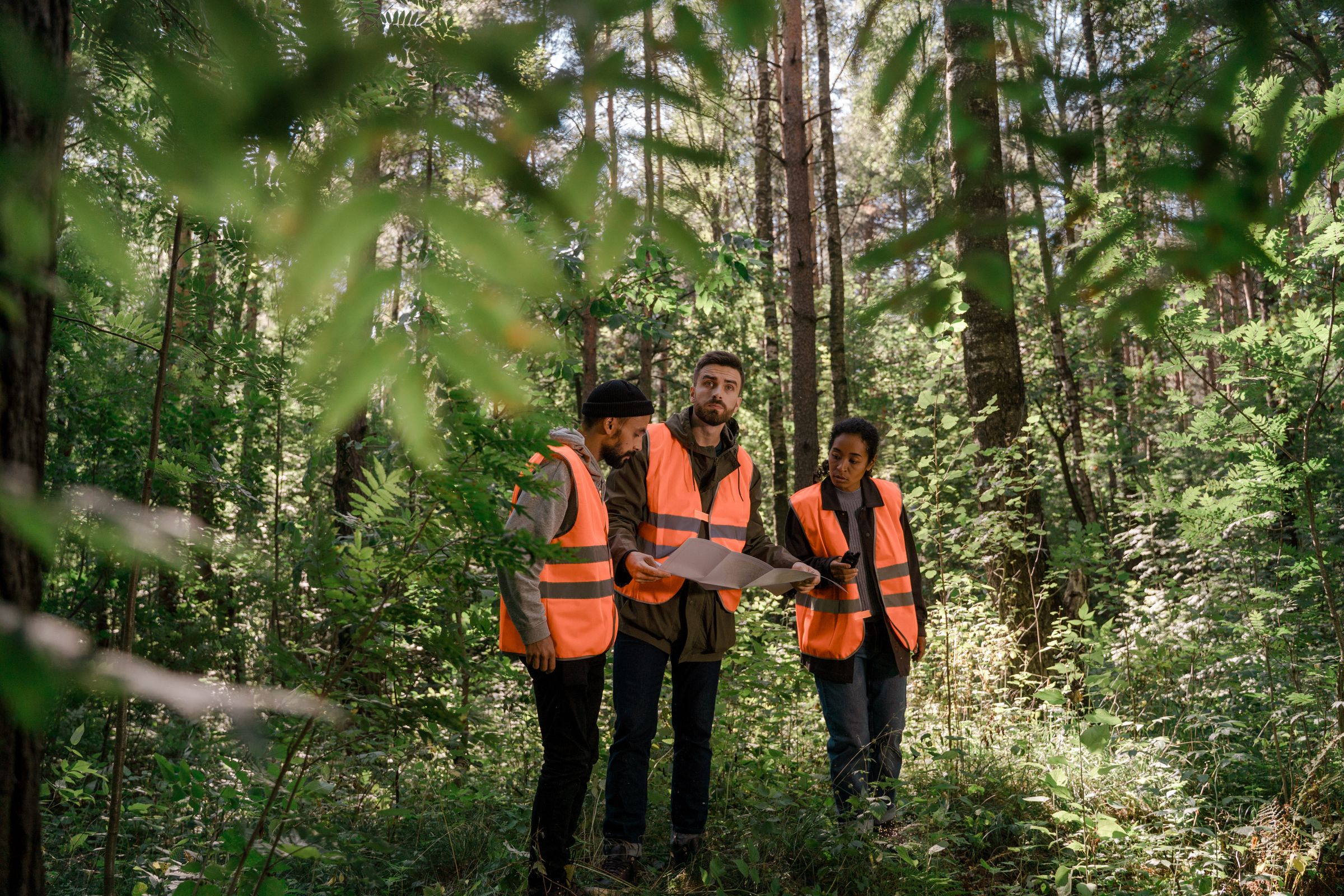 A field team in a forest